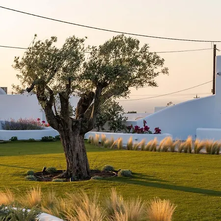 Kyklos - Luxury With Private Pool * 卡特瑞杜斯