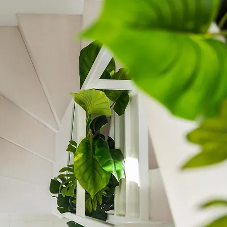 别墅 Kyklos - Luxury With Private Pool